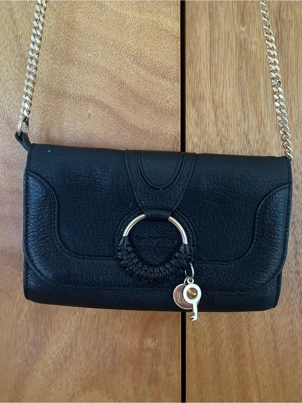 Stella & Dot Black Leather Chain Crossbody with Gold Hardware